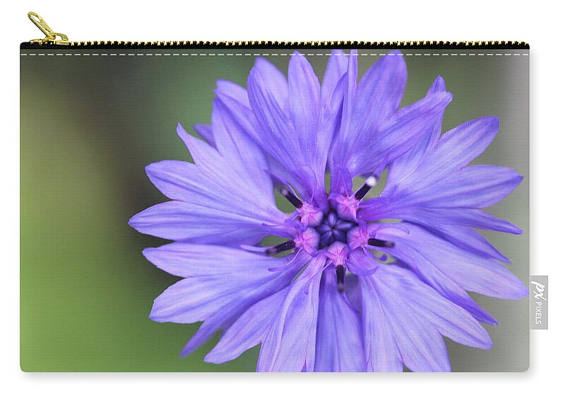 Blue Flower Carry-all Pouch featuring the painting Blue Button by Ruth Kamenev