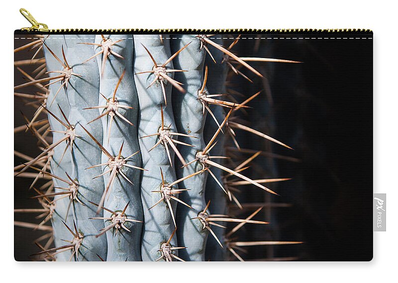Botanical Zip Pouch featuring the photograph Blue Cactus by John Wadleigh