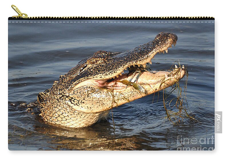 Alligator Zip Pouch featuring the photograph Blue Crab Tar-Tar by Kathy Baccari