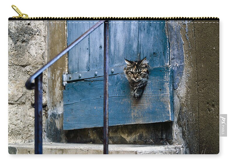 Cat Zip Pouch featuring the photograph Blue Door with Pet Outlook by Heiko Koehrer-Wagner