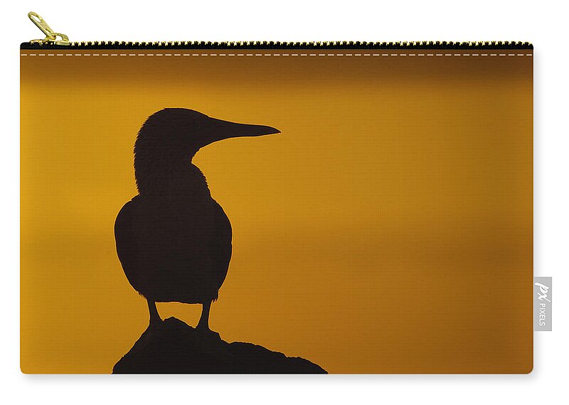 Feb0514 Zip Pouch featuring the photograph Blue-footed Booby At Sunset Galapagos by Pete Oxford