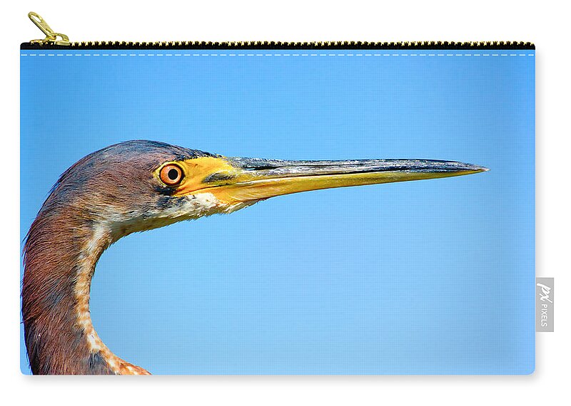Blue Heron Zip Pouch featuring the photograph Blue Heron by Mark Andrew Thomas