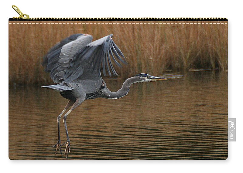 Wildlife Zip Pouch featuring the photograph Blue Heron Takes Flight by William Selander