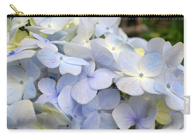 Flower Carry-all Pouch featuring the photograph Blue Hydrangea Flowers by Amy Fose