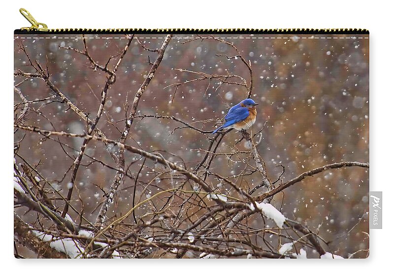 Blue Norther Zip Pouch featuring the photograph Blue Norther by Gary Holmes