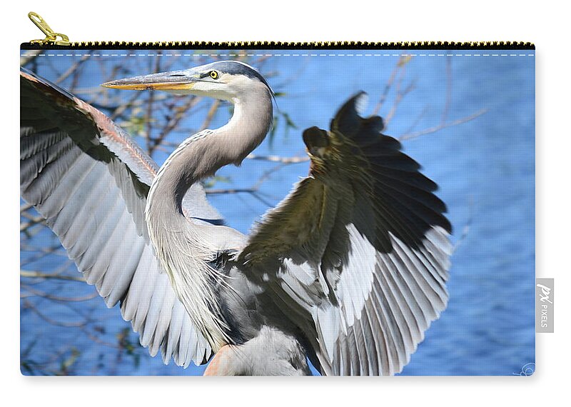 great Blue Heron Zip Pouch featuring the photograph Blue on Blue by Susan Molnar