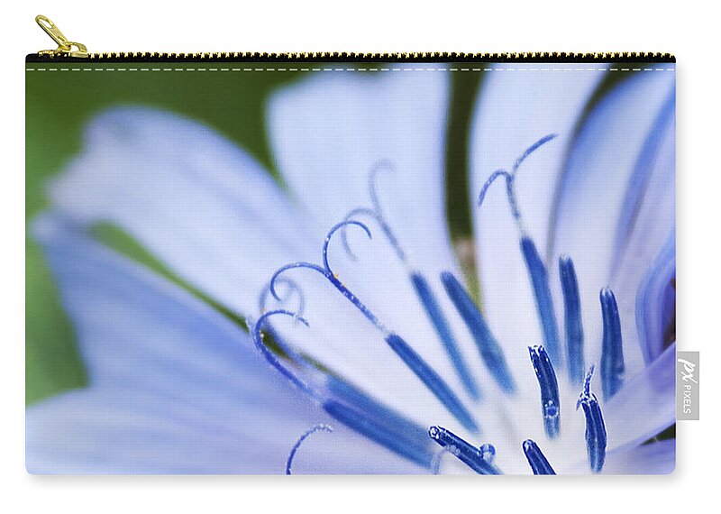 Festblues Zip Pouch featuring the photograph Blue poetry.. by Nina Stavlund