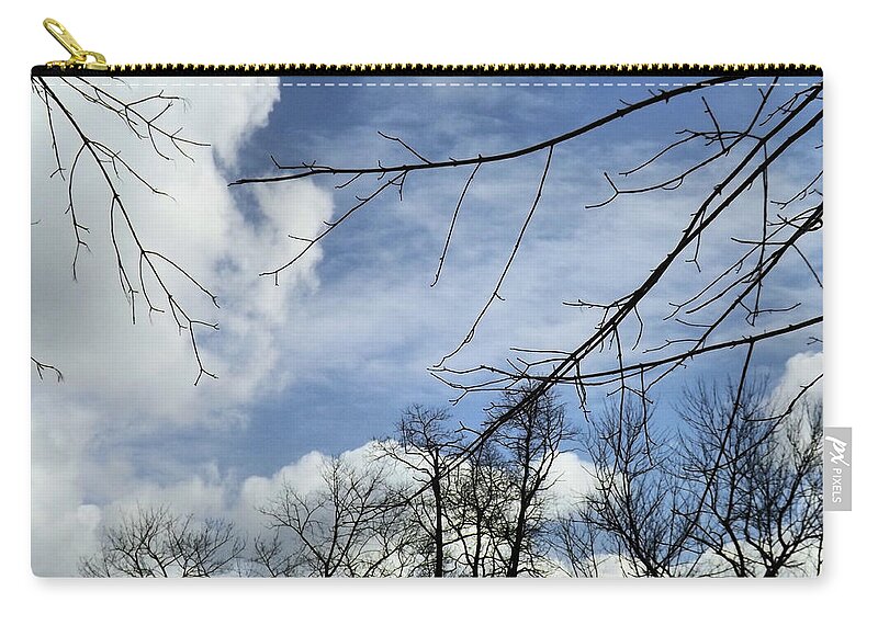Winter Zip Pouch featuring the photograph Blue Skies of Winter by Robyn King