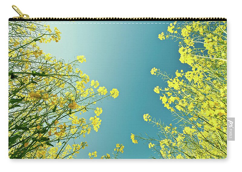 Clear Sky Zip Pouch featuring the photograph Blue Skies Through Yellow Rape Flowers by Image By Debbie Margetts - Ancora Imparo