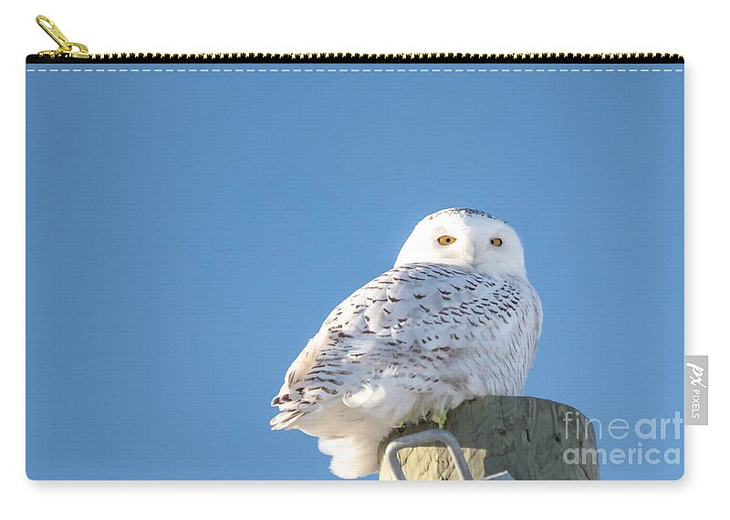 Field Carry-all Pouch featuring the photograph Blue Sky Snowy by Cheryl Baxter