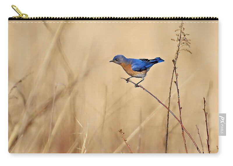 Bluebird Zip Pouch featuring the photograph Bluebird Meadow by William Jobes