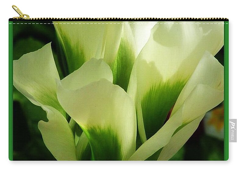 Green Tulip Zip Pouch featuring the photograph Bordered Green Tulip by Joan-Violet Stretch