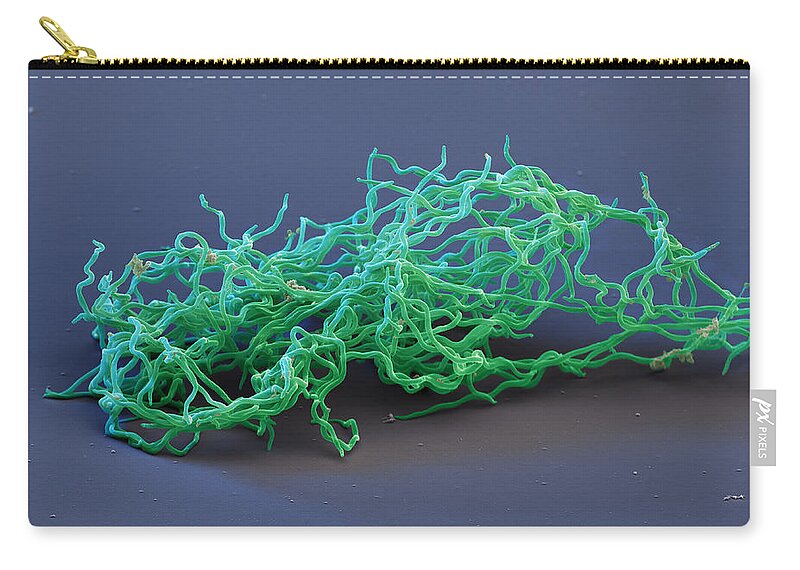 Lyme Disease Zip Pouch featuring the photograph Borrelia Burgdorferi, Sem by Eye of Science