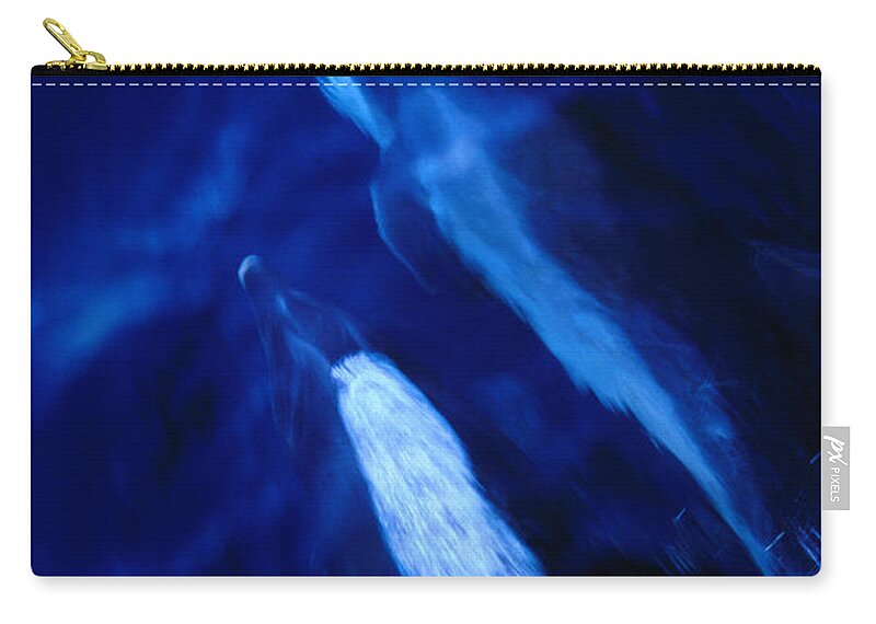 Underwater Zip Pouch featuring the photograph Bottle-nosed Dolphins Tursiops by Richard I'anson
