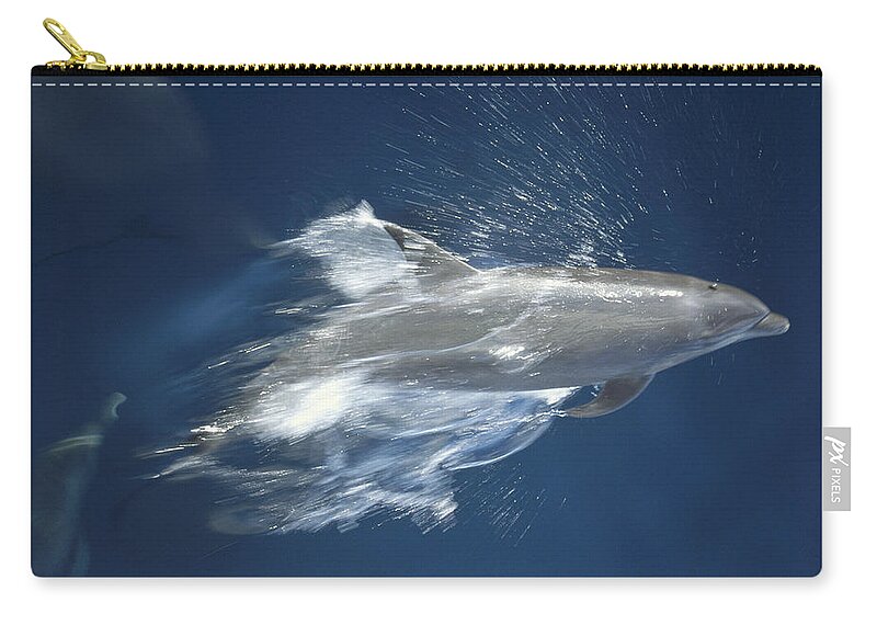 Feb0514 Zip Pouch featuring the photograph Bottlenose Dolphin Leaping Playfully by Tui De Roy