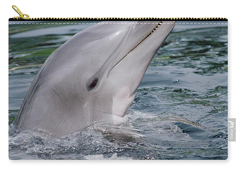 Feb0514 Zip Pouch featuring the photograph Bottlenose Dolphin Portrait by Flip Nicklin