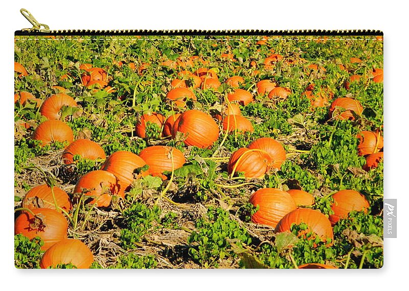 Brown's Farm Zip Pouch featuring the photograph Bountiful Crop by Kathy Barney