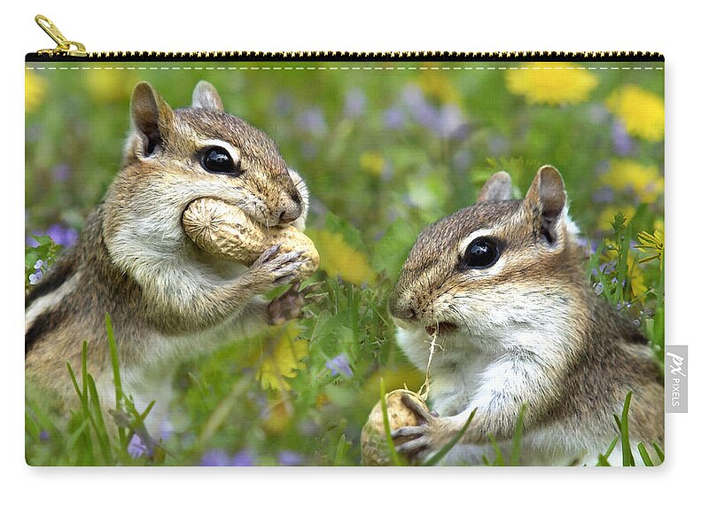 Chipmunks Zip Pouch featuring the photograph Chipmunk Friends by Christina Rollo