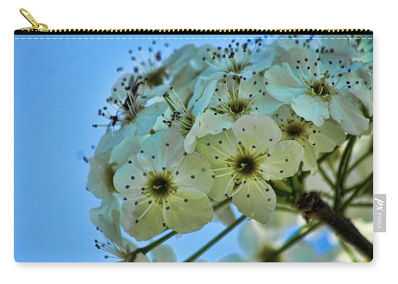 Bradford Zip Pouch featuring the photograph Bradford Pear I by Lesa Fine