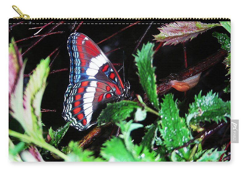 Faunagraphs Art Zip Pouch featuring the photograph Branch Encounter by Torie Tiffany