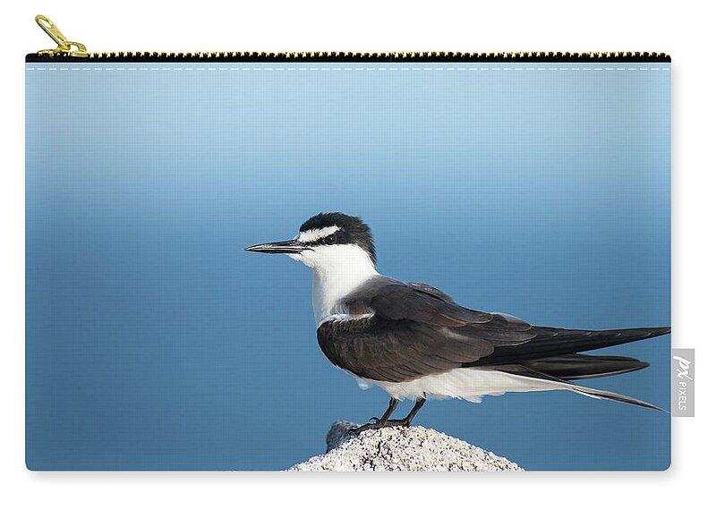Tranquility Zip Pouch featuring the photograph Bridled Tern On Granite Boulder by James Warwick