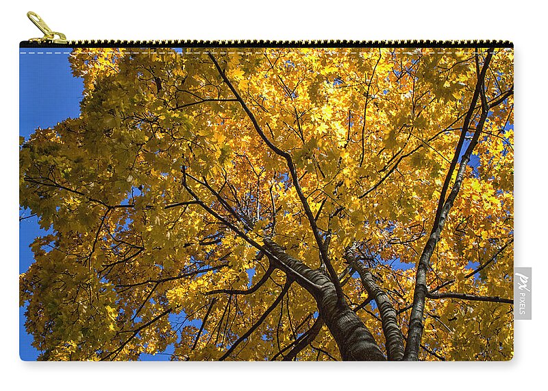 Landscape Zip Pouch featuring the photograph Bright eyes by Rob Dietrich