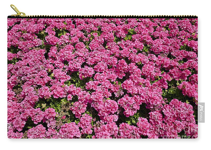Background Zip Pouch featuring the photograph Bright Pink Flowers In The Sunshine by JM Travel Photography
