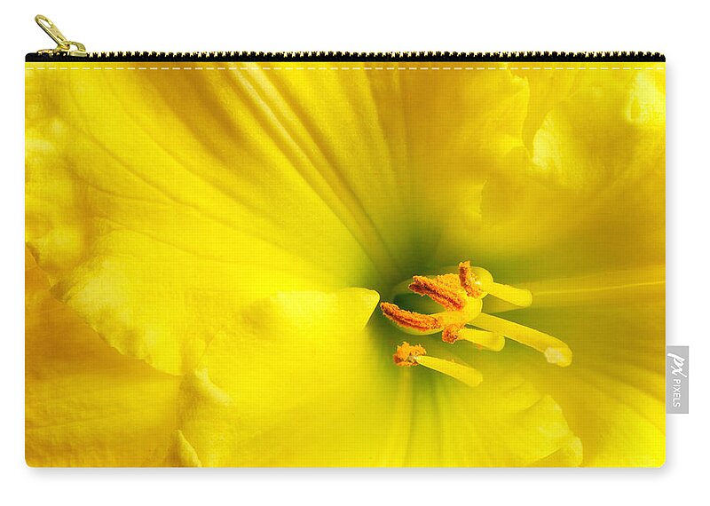 Lily Zip Pouch featuring the photograph Bright Yellow Lily by Jim Hughes