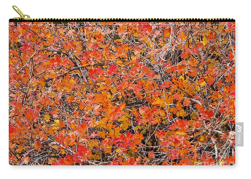 Banff National Park Zip Pouch featuring the photograph Brilliant Colors by Bob Phillips
