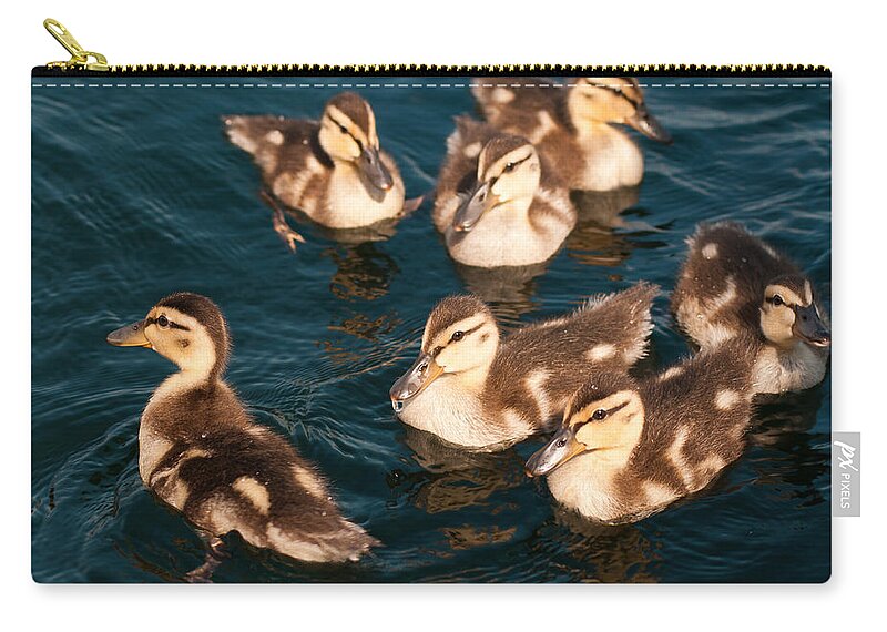 Ducks Zip Pouch featuring the photograph Brothers and Sisters by Brenda Jacobs