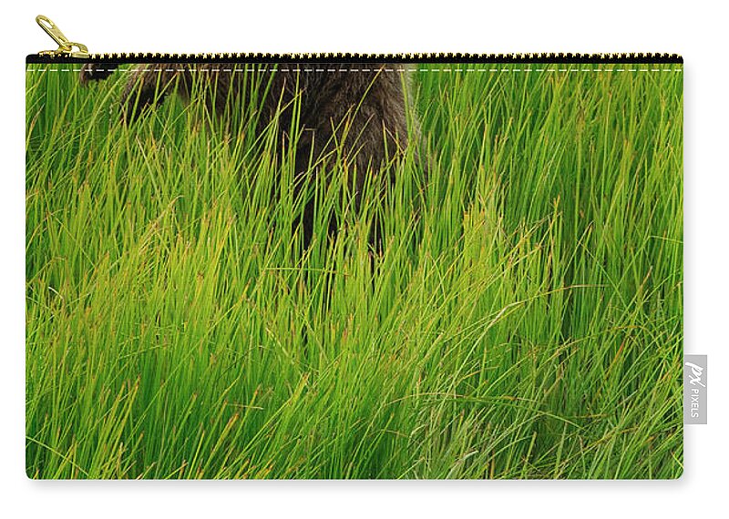 Brown Bear Zip Pouch featuring the photograph Brown Bear Cubs, Lake Clark National by Mint Images/ Art Wolfe