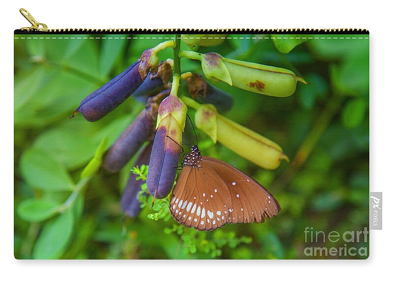 Butterfly Zip Pouch featuring the photograph Brown butterfly in the green jungle by Gina Koch