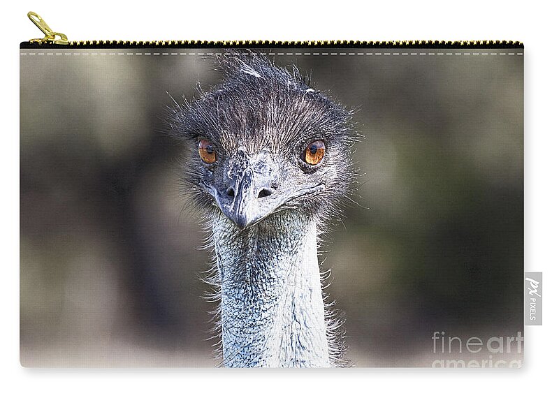  Emu Bird Zip Pouch featuring the photograph Brown-Eyed Girl V2 by Douglas Barnard