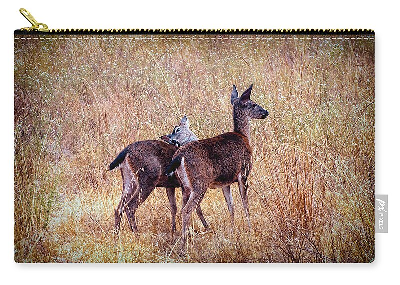 Wildlife Zip Pouch featuring the photograph Browsing Together by Jim Thompson