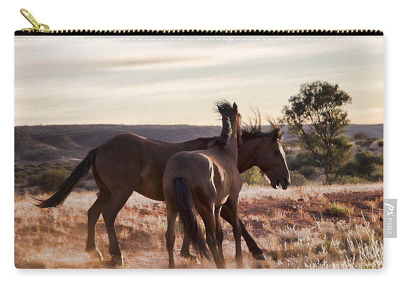 Brumbies Zip Pouch featuring the photograph Brumby with Foal V1 by Douglas Barnard