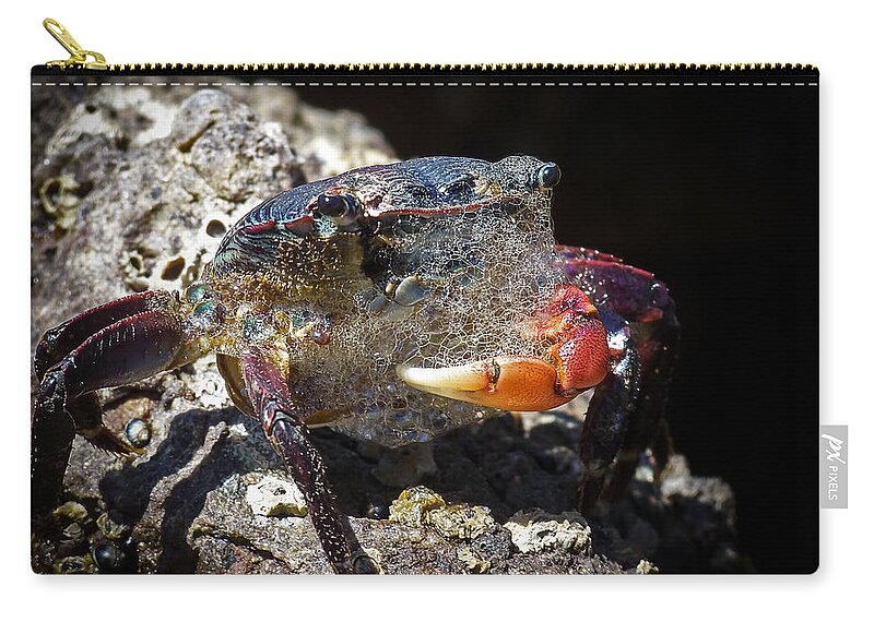 The Crab Zip Pouch featuring the photograph Bubbles the Crab by Ernest Echols