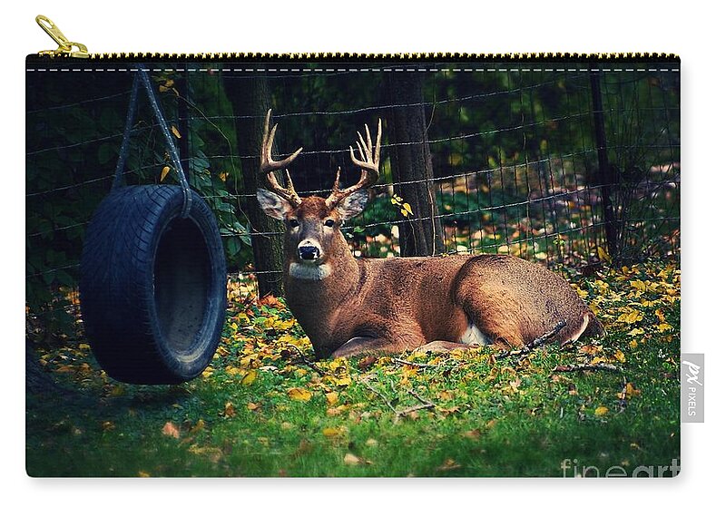 Buck Zip Pouch featuring the photograph Buck in the Back Yard by Frank J Casella