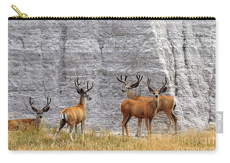 Wildlife Zip Pouch featuring the photograph Bucks Abound by Deanna Cagle