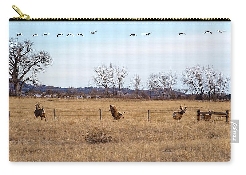 Deer Jumping Phoograph Zip Pouch featuring the photograph Bucks and Geese by Jim Garrison