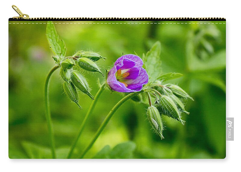 Wildflower Zip Pouch featuring the photograph Budding Artist by Bill Pevlor