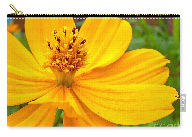 Yellow Flower Zip Pouch featuring the photograph Budding Bouquet by Kelly Holm