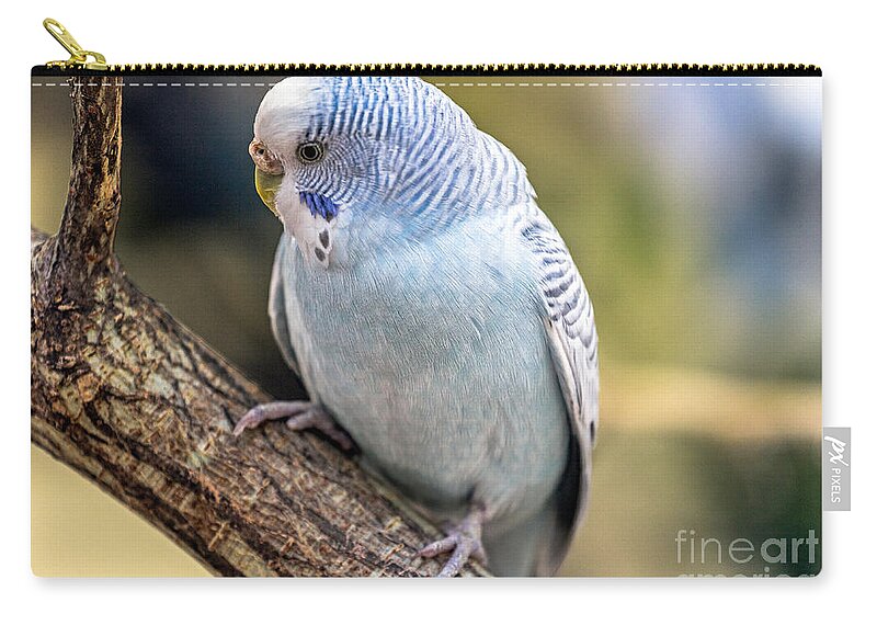 Color Zip Pouch featuring the photograph Hello world by Bernd Laeschke