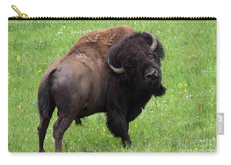 Colorado Zip Pouch featuring the photograph Buffalo by Bob Hislop