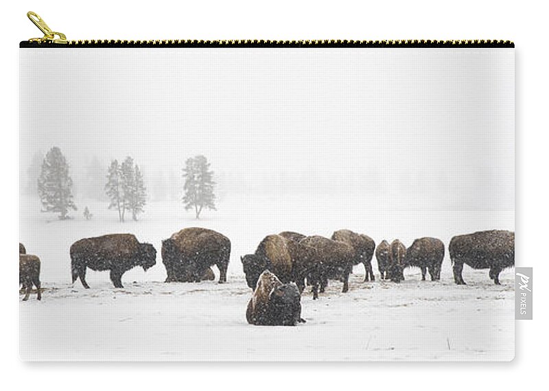 Yellowstone Carry-all Pouch featuring the photograph Buffalo Herd in Snow by Bill Cubitt