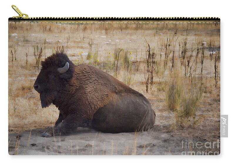 Buffalo Zip Pouch featuring the photograph Buffalo of Antelope Island II by Donna Greene