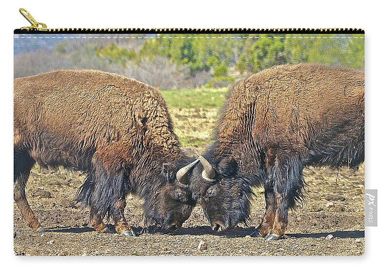 Buffalo Zip Pouch featuring the photograph Buffaloes at Play by SC Heffner