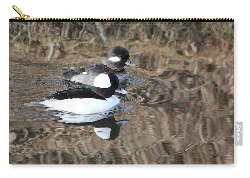 Ducks Zip Pouch featuring the photograph Bufflehead Pair by Shane Bechler