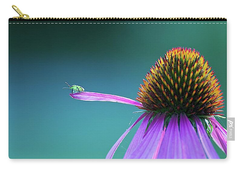 Insect Zip Pouch featuring the photograph Bug On A Leaf by Paddyllac