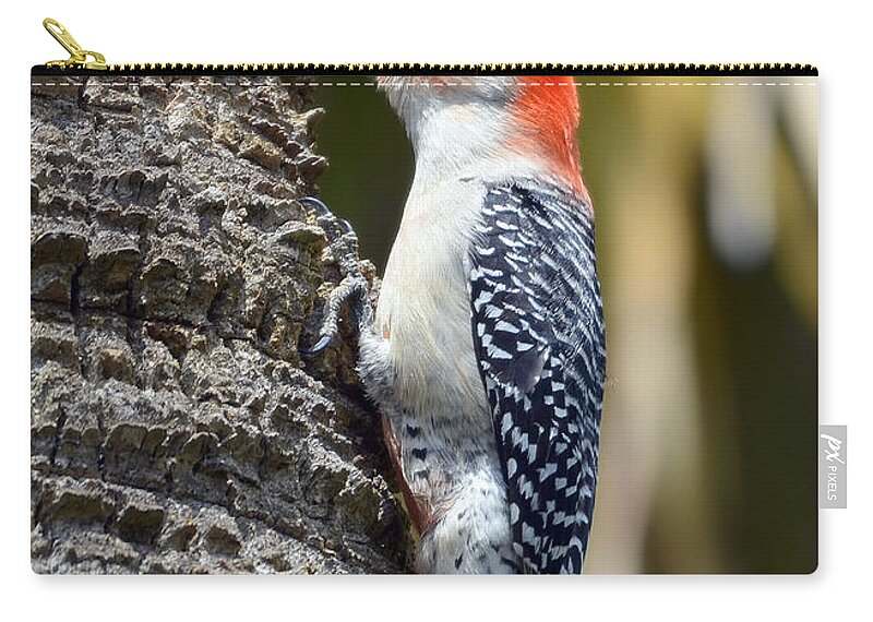 Woodpecker Carry-all Pouch featuring the photograph Building A Home by Kathy Baccari