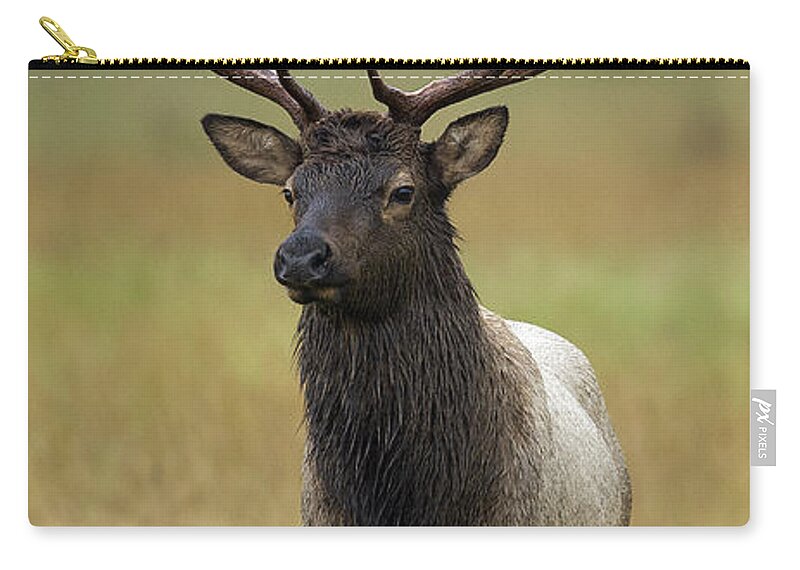 Bull Zip Pouch featuring the photograph Bull Elk 6 by 6 by Gary Langley
